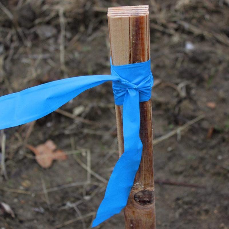 wooden survey stake marked with blue flagging