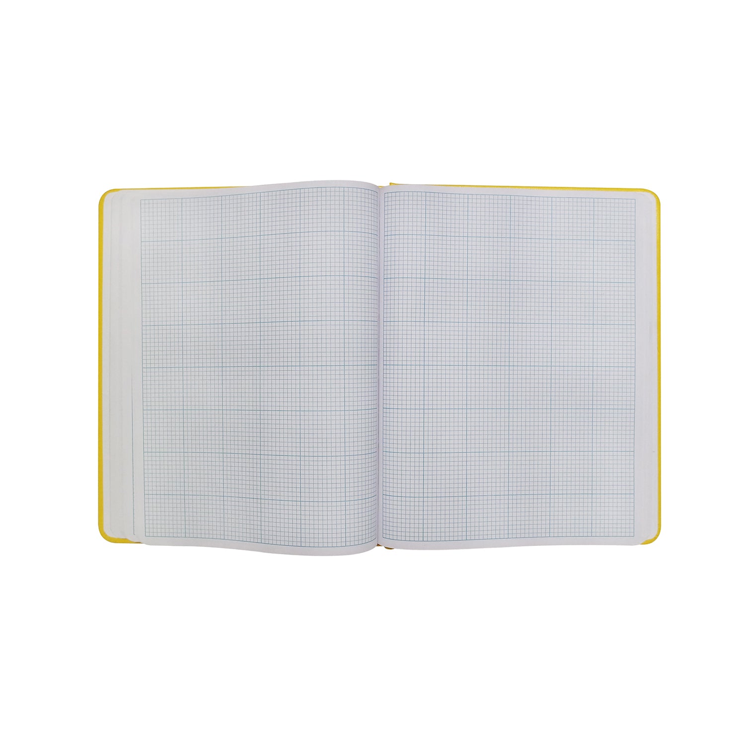 GeoMax Cross Section Field Book -Field Books- eGPS Solutions Inc.
